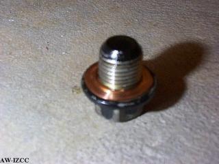 Drain Plug w/ Used Crush Washer