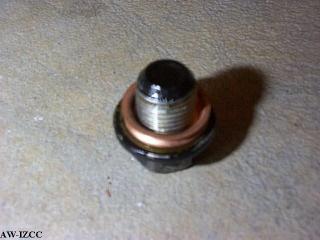 Drain Plug w/ New Crush washer