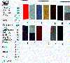 1980 Datsun Color Guide